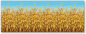 img 4 attached to Transform Your Photos Into Perfect Fall Memories With Beistle Cornstalks Plastic Wall Backdrop