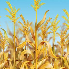 img 1 attached to Transform Your Photos Into Perfect Fall Memories With Beistle Cornstalks Plastic Wall Backdrop