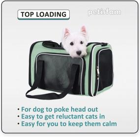 img 3 attached to Comfortable & Convenient Pet Carrier For Medium Cats And Small Dogs - Washable Bed, Multiple Doors & Shoulder Strap - Easy In & Out - Escape Proof - Light Green
