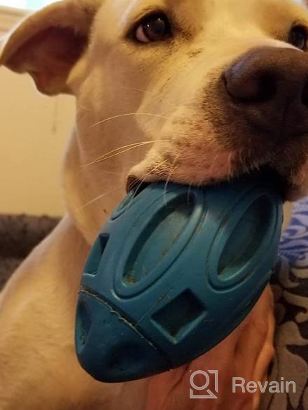 img 1 attached to Indestructible Dog Toy For Aggressive Chewers: Rubber Chew Ball With Squeaker By EASTBLUE - Durable And Long-Lasting Pet Toy For Medium And Large Breeds review by Patrick Ceo