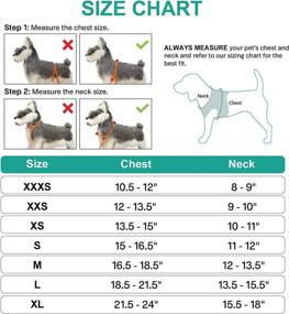 img 2 attached to Breathable Mesh Harness For Small And Medium Dogs With Reflective Soft Padding - Joytale Step-In Harness In 12 Colors (Teal, L)