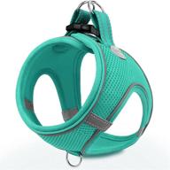 breathable mesh harness for small and medium dogs with reflective soft padding - joytale step-in harness in 12 colors (teal, l) logo