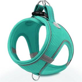 img 4 attached to Breathable Mesh Harness For Small And Medium Dogs With Reflective Soft Padding - Joytale Step-In Harness In 12 Colors (Teal, L)
