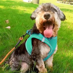img 3 attached to Breathable Mesh Harness For Small And Medium Dogs With Reflective Soft Padding - Joytale Step-In Harness In 12 Colors (Teal, L)