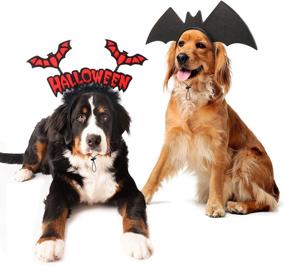 img 4 attached to RYPET Dog Bat Costume 2PCS