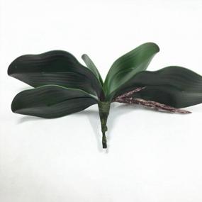 img 3 attached to 2Pcs 10 Inch Artificial Orchid Leaves - JAROWN Green