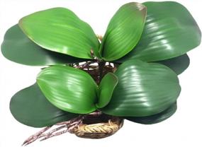 img 4 attached to 2Pcs 10 Inch Artificial Orchid Leaves - JAROWN Green