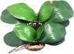 2pcs 10 inch artificial orchid leaves - jarown green logo