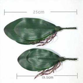 img 1 attached to 2Pcs 10 Inch Artificial Orchid Leaves - JAROWN Green