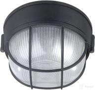 💡 canarm iol17bk: sleek black outdoor flush mount light with frosted glass globe - enhance your exterior aesthetics логотип