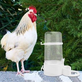 img 3 attached to 🐦 Efficient 2Pcs automatic bird feeder & water bottle: Perfect for chickens, birds, pigeons, and quail