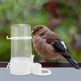 img 1 attached to 🐦 Efficient 2Pcs automatic bird feeder & water bottle: Perfect for chickens, birds, pigeons, and quail