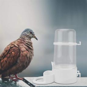 img 2 attached to 🐦 Efficient 2Pcs automatic bird feeder & water bottle: Perfect for chickens, birds, pigeons, and quail