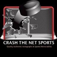 crash the net sports logo