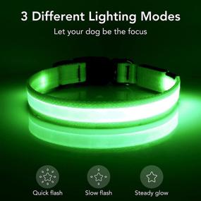 img 3 attached to 🐶 VIZPET LED Dog Collar - USB Rechargeable & 100% Waterproof - Adjustable & Bright Safety Light - Glowing Collars for Dogs