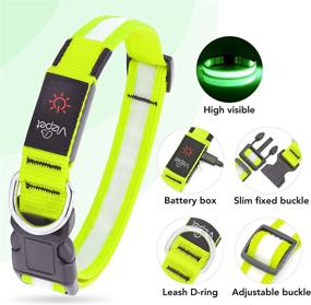 img 1 attached to 🐶 VIZPET LED Dog Collar - USB Rechargeable & 100% Waterproof - Adjustable & Bright Safety Light - Glowing Collars for Dogs