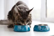 сухой корм для стерилизованных кошек purina one с лососем и пшеницей 750 г логотип