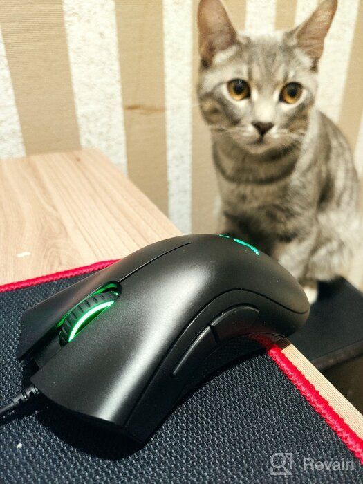 img 1 attached to Razer Death Adder Essential RZ01-0254: The Ultimate Gaming Mouse review by Amit Rajput ᠌