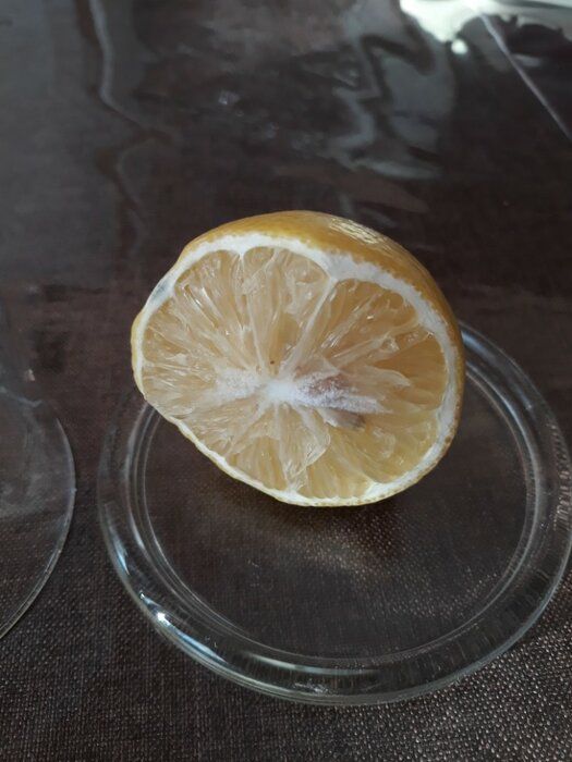 img 3 attached to 🍋 Pasabahce Glass Lemon Keeper: Enhancing Storage for Lemons review by Stanislaw Kisiel ᠌