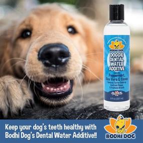 img 1 attached to Bodhi Dog Peppermint Fresh Breath Dental Water Additive: Boost Teeth, Breath, and Gum Health! Tartar Cleaning, Plaque Remover & Fresh Drinking Oral Care, No Brush Required!