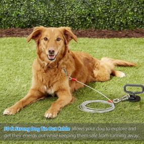 img 3 attached to 🐶 Durable 30/50 ft Dog Tie Out Cable for Dogs Up to 60 lbs - Tangle-Free Swivel Dog Training Leash - Anti Rust Chew Proof Yard Leash for Outdoor, Yard, Camping