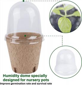 img 2 attached to 36-Pack Biodegradable Peat Pots With Humidity Dome And Plant Labels For Indoor Outdoor Garden Seed Starter Set