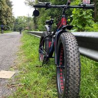 marlin bikes 로고
