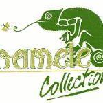 chameleon collection logo