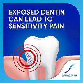 img 2 attached to 🦷 Sensodyne Whitening Toothpaste for Sensitive Teeth - Ideal for Sensitivity Relief