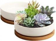zoutog 6-inch white ceramic succulent pots with bamboo tray - pack of 2, flower planter pot - plants not included logo