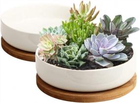 img 4 attached to ZOUTOG 6-inch White Ceramic Succulent Pots with Bamboo Tray - Pack of 2, Flower Planter Pot - Plants Not Included