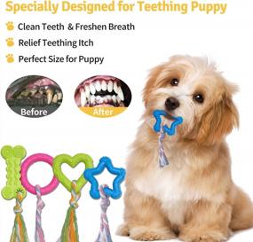 img 2 attached to 18 Pack Super Value Puppy Toys - KIPRITII Dog Chew, Bite Ring & Squeaky Toy Set For Small Dogs