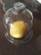 img 1 attached to 🍋 Pasabahce Glass Lemon Keeper: Enhancing Storage for Lemons review by Stanislaw Kisiel ᠌