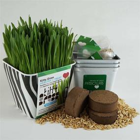 img 1 attached to 🌱 Grow Your Own Kitty Grass with the Kitty Grass Triple Kit (3 Harvests) in Black and White Zebra Pattern