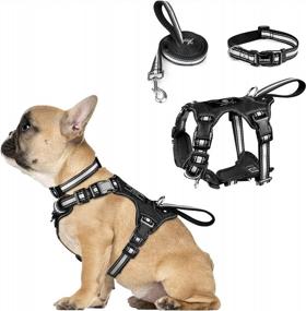 img 4 attached to WINSEE Pet Harness Collar And Leash Set, All-In-One Reflective Dog Harness No Pull With Adjustable Buckles For Puppies, Small, Medium, Large, And Extra-Large Dogs (Small, Black)
