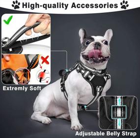 img 3 attached to WINSEE Pet Harness Collar And Leash Set, All-In-One Reflective Dog Harness No Pull With Adjustable Buckles For Puppies, Small, Medium, Large, And Extra-Large Dogs (Small, Black)