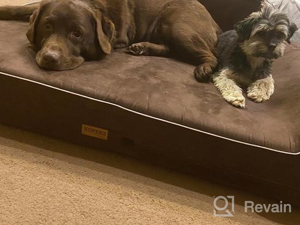 img 1 attached to Orthopedic Memory Foam Pet Bed For Large Dogs - 7-Inch Thick With Pillow And Removable Cover - Anti-Slip Bottom And Waterproof Liner - Sturdy And Modern Design For Big Breeds - Jumbo Size review by Jeff Ross