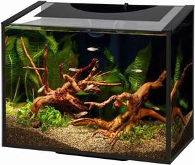 img 2 attached to 🐠 Aqueon Ascent LED Aquarium Kit 6 Gallon, Black