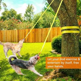img 2 attached to Interactive Tug-Of-War Dog Toy For Medium To Large Dogs - XiaZ Bungee Tug With 2 Ropes For Solo Play!