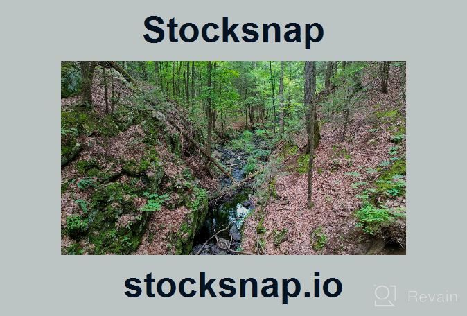 img 1 attached to Stocksnap review by Jesse Diaz