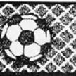 north america sports the soccer shop logo