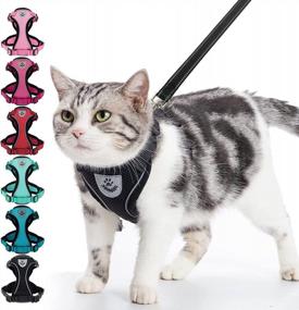 img 4 attached to Adjustable Escape Proof Cat Harness And Leash Set By PUPTECK - Breathable Soft Mesh Vest For Small And Medium Kittens, Ideal For Outdoors With Reflective Strips