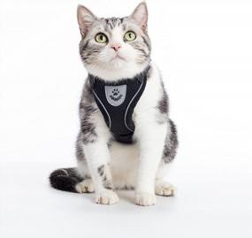 img 3 attached to Adjustable Escape Proof Cat Harness And Leash Set By PUPTECK - Breathable Soft Mesh Vest For Small And Medium Kittens, Ideal For Outdoors With Reflective Strips