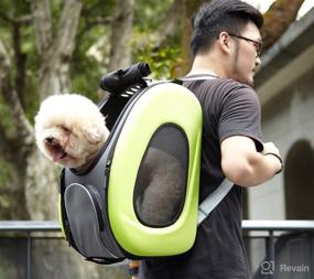 img 1 attached to Ibiyaya 5-in-1 Combo EVA Pet Carrier/Stroller: The Ultimate Pet Travel Solution!
