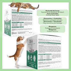 img 2 attached to CONDROLAC Glucosamine Chondroitin Dogs Dosage