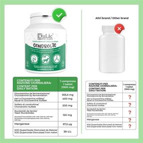 img 1 attached to CONDROLAC Glucosamine Chondroitin Dogs Dosage