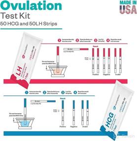 img 2 attached to 👶 50 Ovulation and Pregnancy Test Strips - Track Fertility, Accurate Predictor Kit, Clear Results - LH & HCG Urine Strips, Ovulation & Fertile Tracker - Made in USA