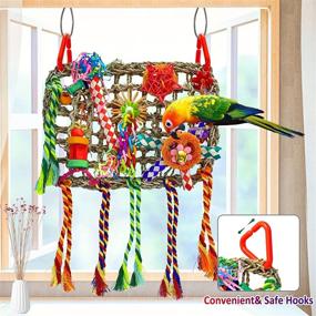 img 1 attached to 🐦 Enhance Bird's Environment with Interactive Bird Foraging Wall Toy - Seagrass Climbing Hammock Mat with Colorful Ropes - Perfect Chew Toy for Lovebirds, Parakeets, Conures, Cockatiels