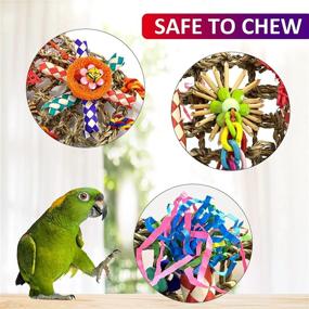 img 2 attached to 🐦 Enhance Bird's Environment with Interactive Bird Foraging Wall Toy - Seagrass Climbing Hammock Mat with Colorful Ropes - Perfect Chew Toy for Lovebirds, Parakeets, Conures, Cockatiels