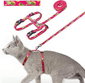 img 4 attached to 🐱 Azuza Cat Harness and Leash Set: Escape Proof Plaid Design | Adjustable & Soft for Walking